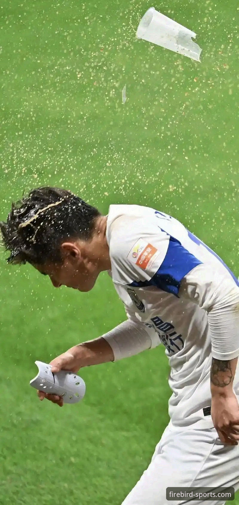 资深分析师解读：凤凰体育足球直播如何重塑观赛体验